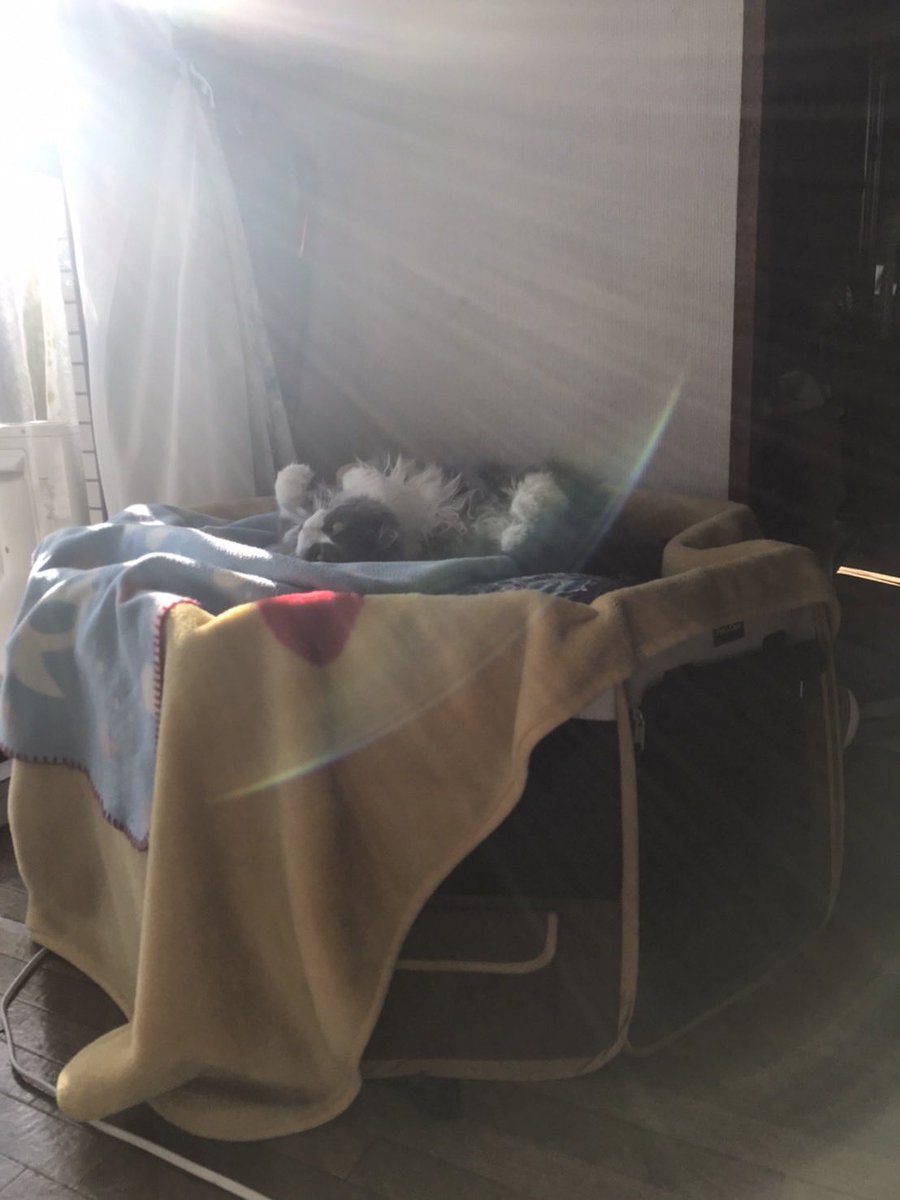 ena_10_02's tweet photo. 好きだね光合成☀️
酸素排出してる？.。o○ https://t.co/UbEaaje4Gm