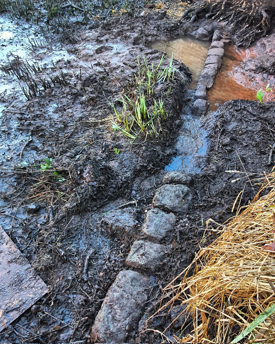 It appears the wall of the moat wasn't always at a right angle 😃 An interesting find indeed! Unfortunately, due to the dredging in the 30s, it has mixed up the archeology. This means it was possible to find a Duracell battery and part of a medieval floor tile close by 😅