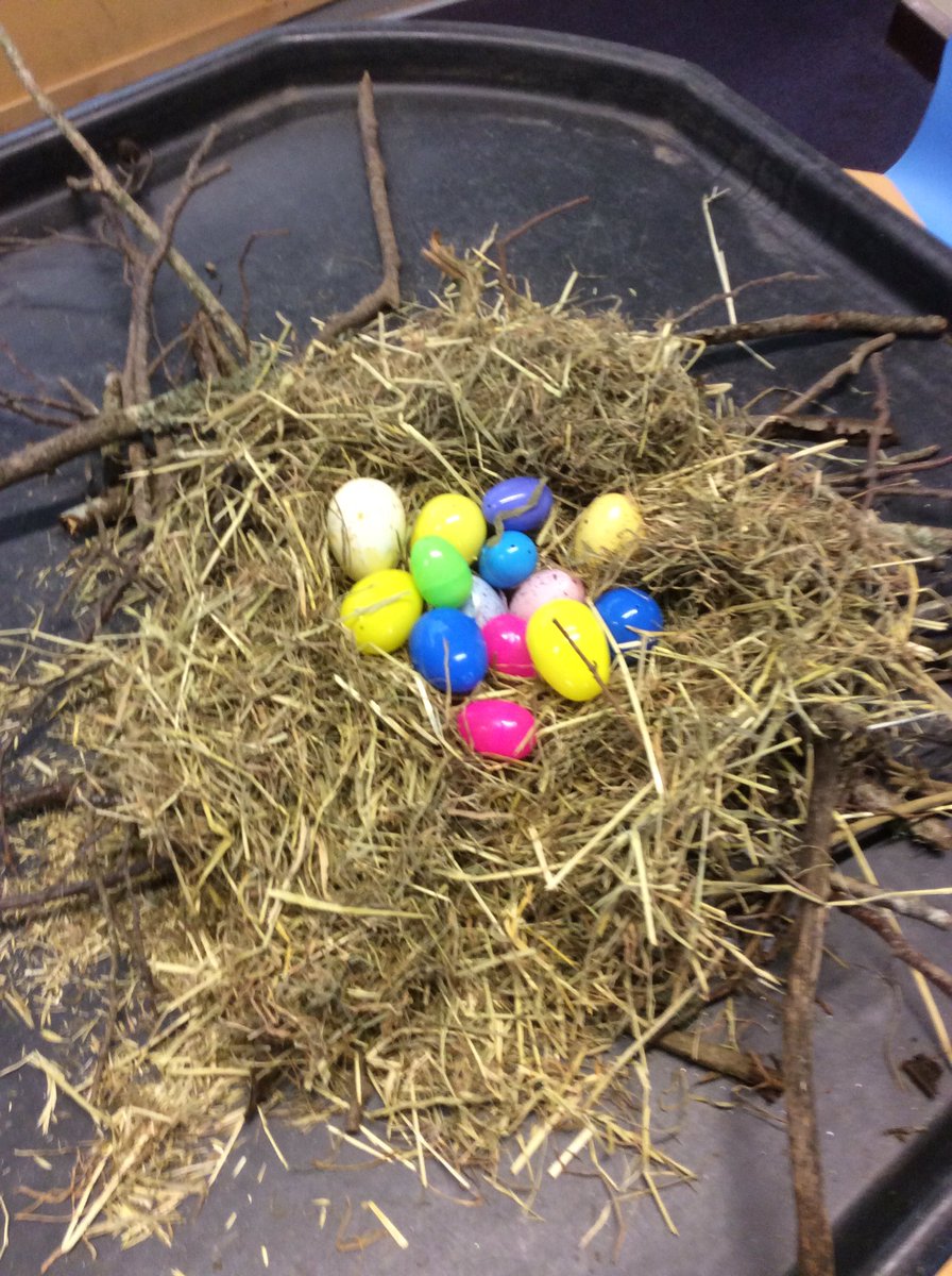 penryn_YR's tweet photo. Something exciting ha appeared in Reception today. We are waiting patiently to see what hatches out of the eggs! https://t.co/1i37iqb1w4