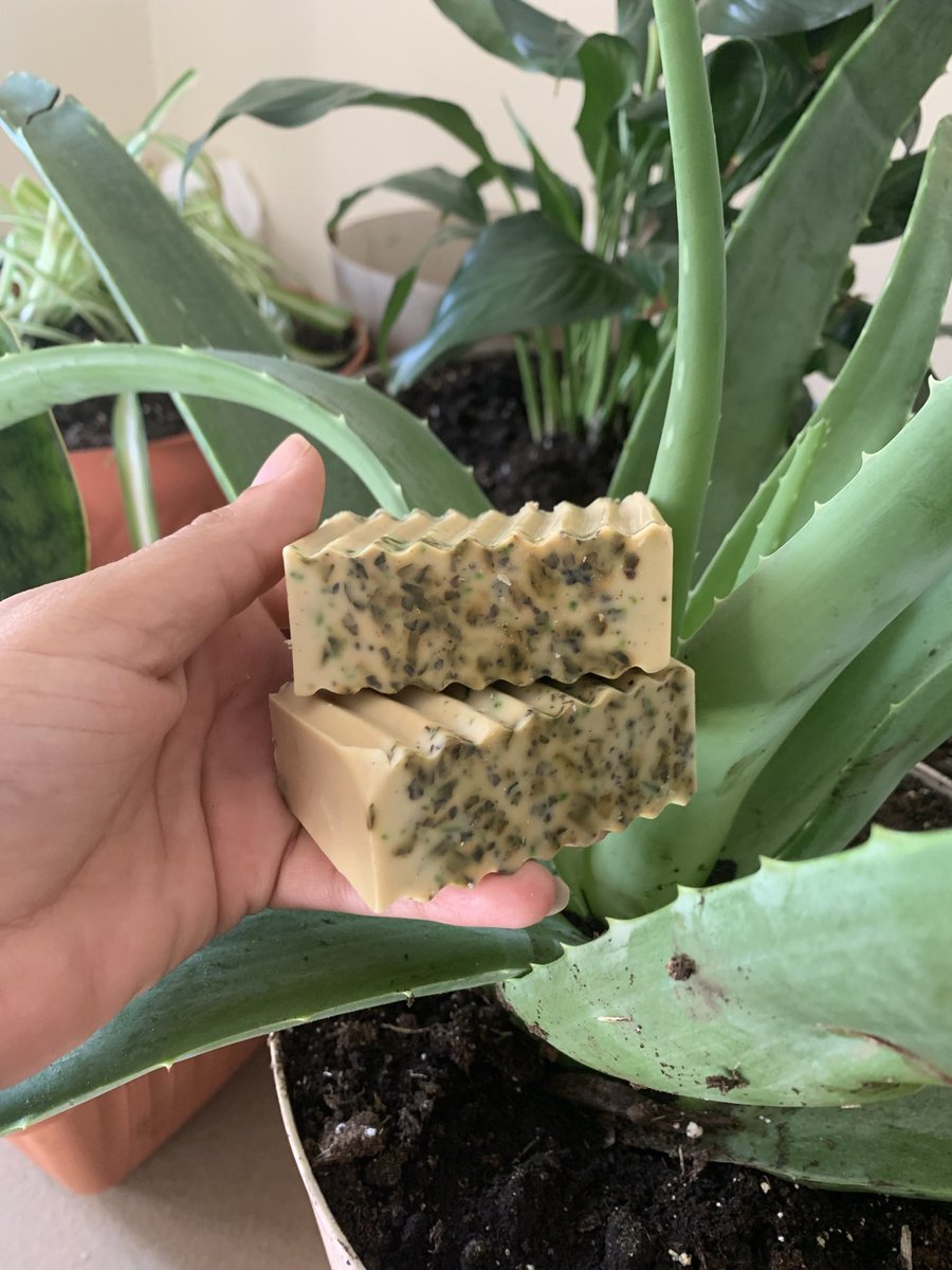 Pretty_ZayBay's tweet photo. Soap Bar Update
I did Mint&amp;Aloe Bars and they came out Bomb and they smell so good😌 https://t.co/tIPhb51GUJ
