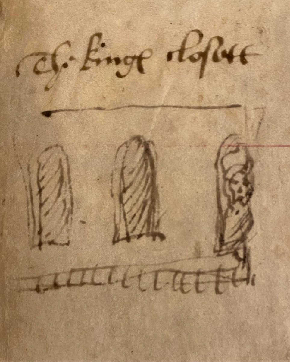 Dr Lauren Shaw tweet media