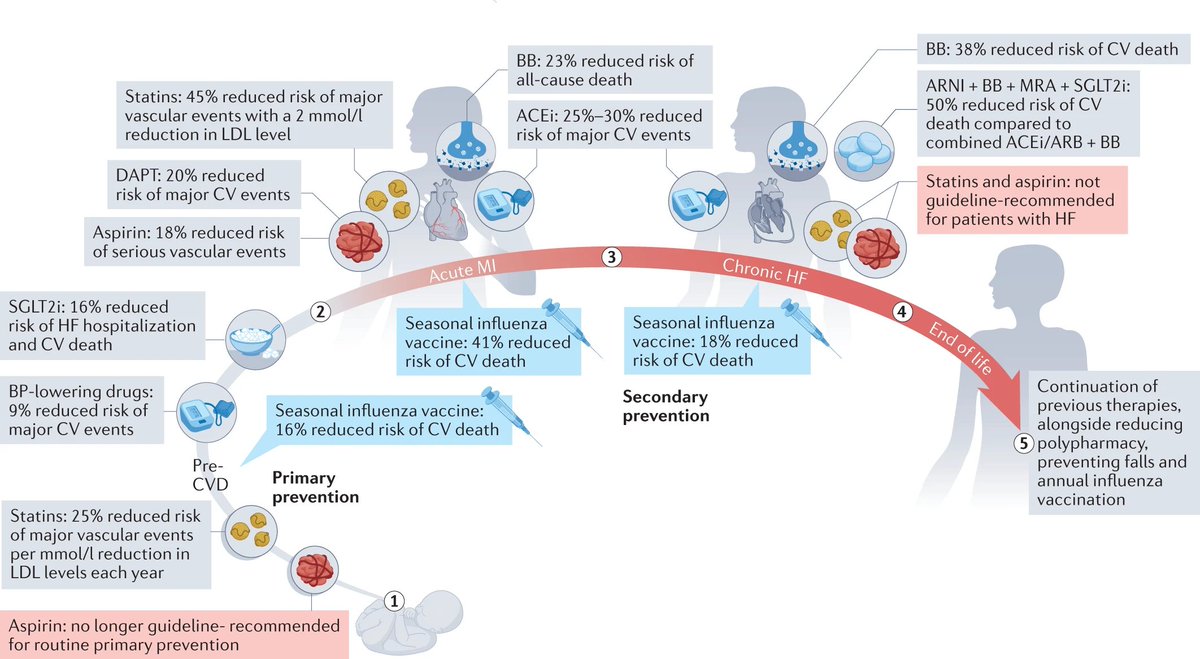 📌Universal #flu vaccines: a shot at lifelong #cardioprotection?

#MedEd #CardioEd #CardioTwitter