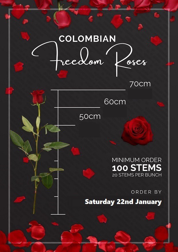 VanVliet Northampton Sam tweet media