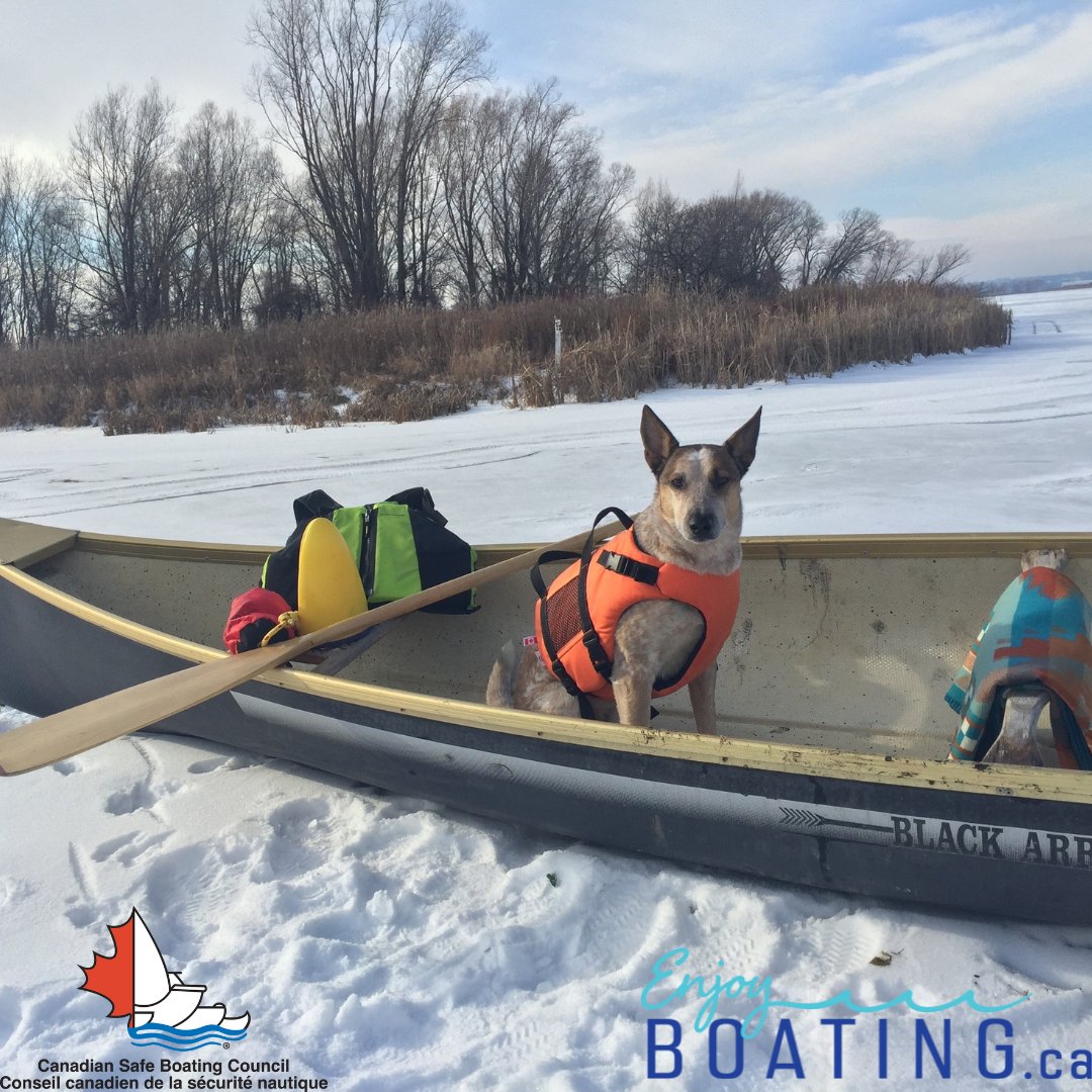 Dreaming of summer adventures? Interested in trying a new water activity this summer? Now is the perfect time to start planning your adventure & learn a new skill with a great online tool startboating.ca 

#enjoyboating #boatingtips #knowbeforeyougo #beprepared #csbc