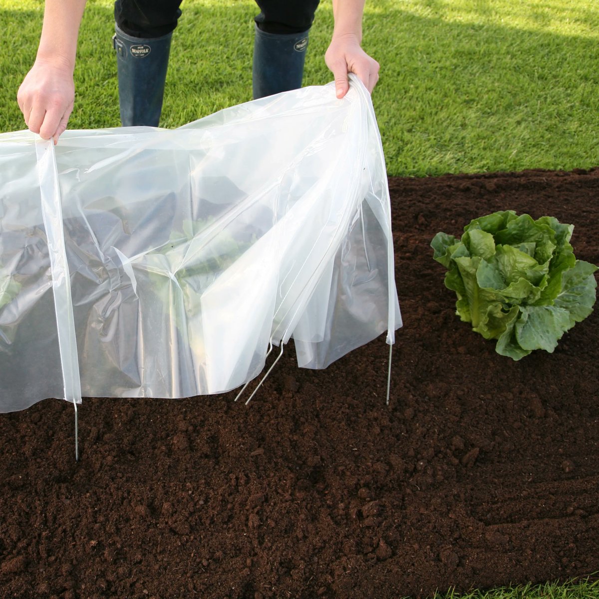 haxnicks's tweet photo. Do you want stronger plants and a longer cropping season? Find out how Haxnicks provide year-round protection for plants whilst enabling quicker growth…https://t.co/jUoagFFe0V #growing #winterplanting https://t.co/rSGkfX7n13