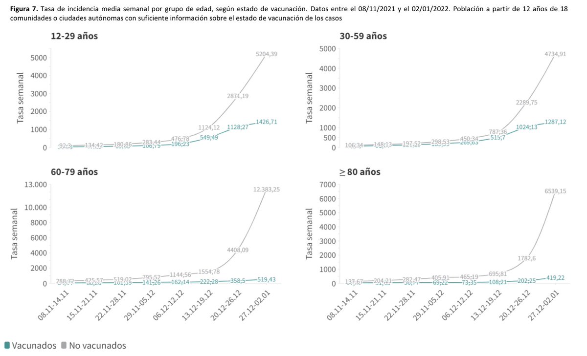 🦠 Tasa incidencia COVID según estado vacunal en España:

✔️ 12-29 años
💉 Vacunados —> 1.427
❌ Sin vacunar —> 5.204

✔️ 30-59
💉 Vacunados —> 1.287
❌ Sin vacunar —> 4.735

✔️ 60-79
💉 Vacunados —> 519
❌ Sin vacunar —> 12.383

✔️ 80+
💉 Vacunados —> 419
❌ Sin vacunar —> 6.539