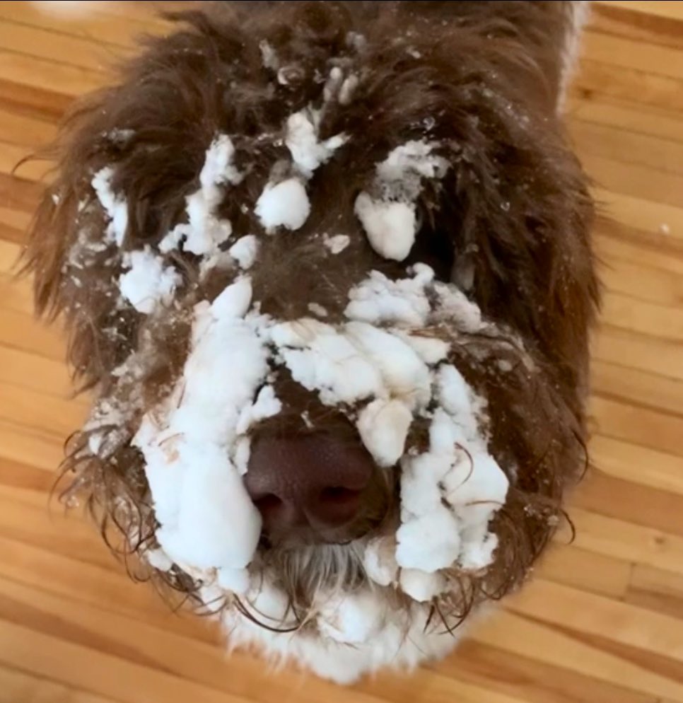 Mel Norton 🇨🇦 tweet media