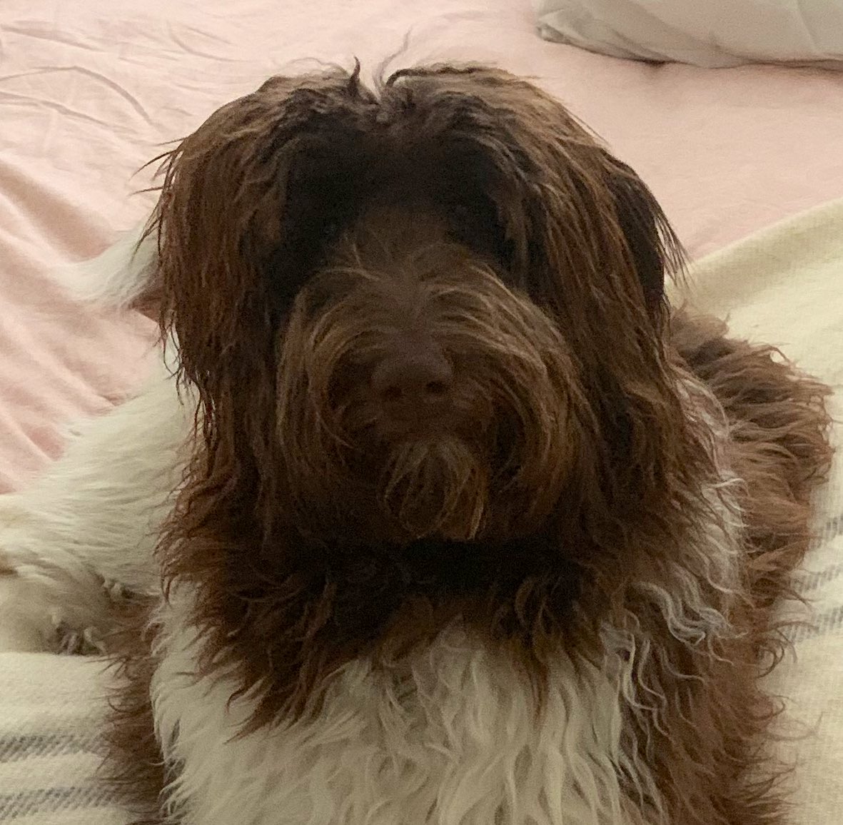 Mel Norton 🇨🇦 tweet media