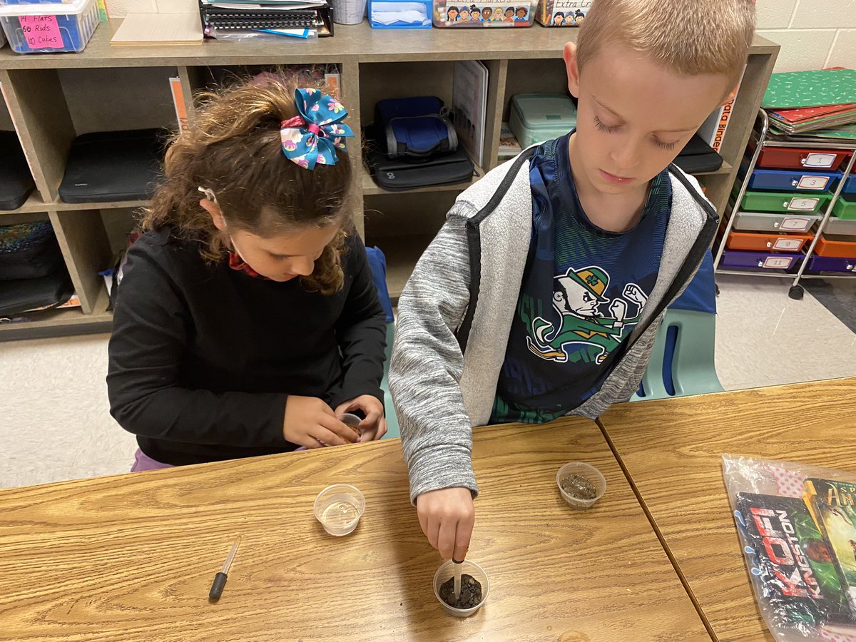 MrsSickelsClass's tweet photo. Second graders investigating different types of soil. What happens when you add drops of water? @MrsSickelsClass @OESCHIEFS @collierschools https://t.co/jMOYVRnFAN