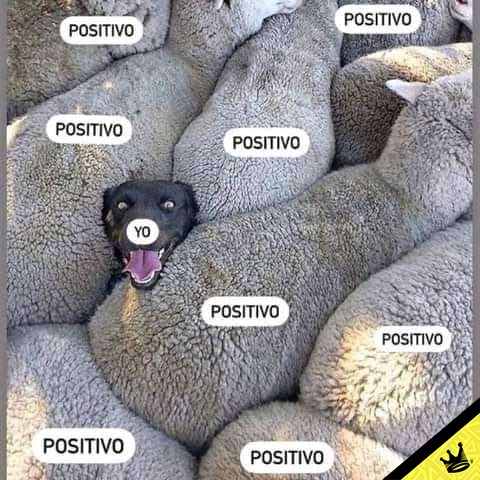 luisitorey's tweet photo. Aguanteeeeeen https://t.co/LuzfZVVGaC