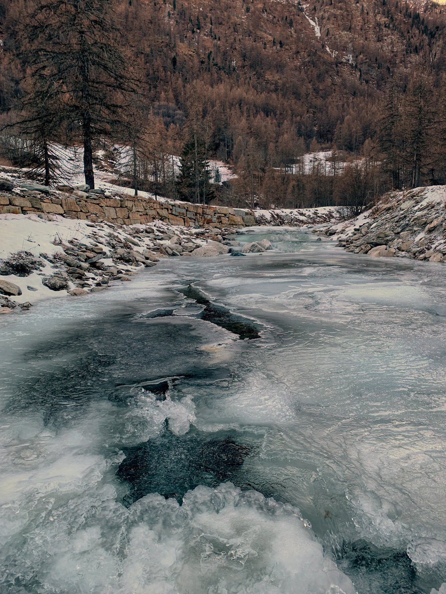 {Say freeeeeeze!}
#bellino #vallevaraita #terresmonviso #monvisounesco