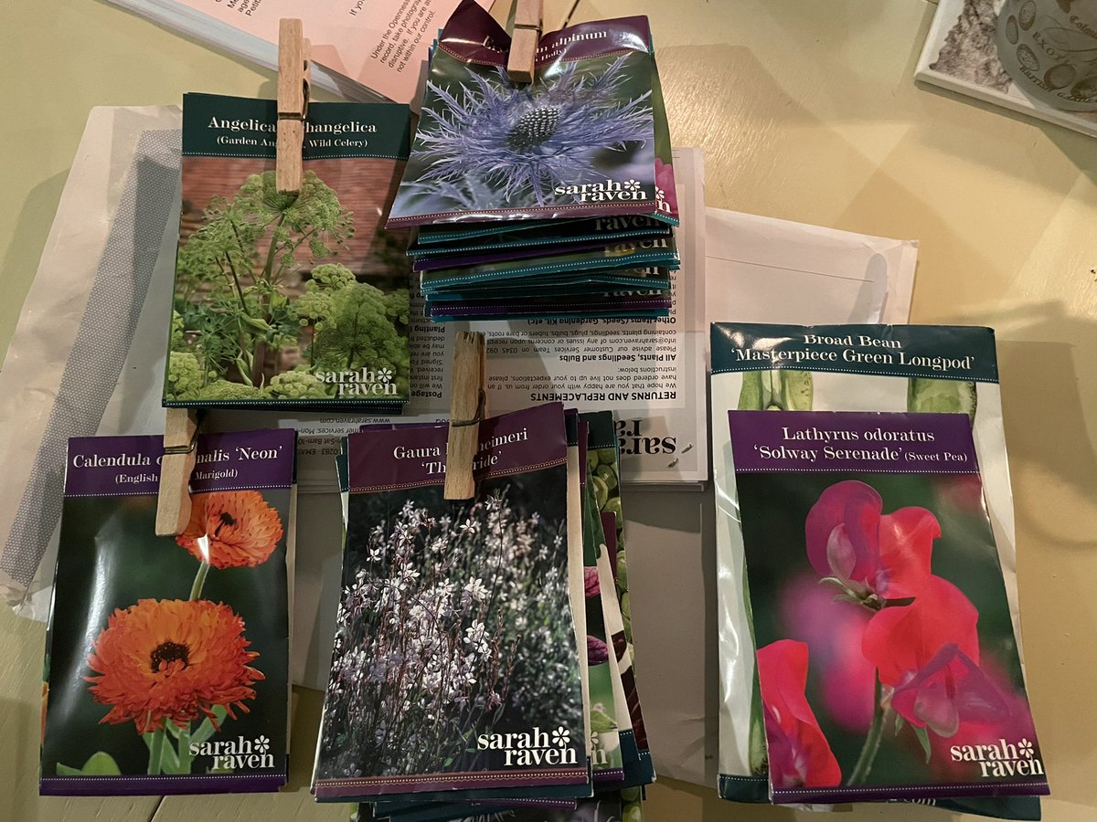 SCockburnPrice's tweet image. It’s that time of the year: the @srkitchengarden seed order has arrived. So excited this year by the possibilities afforded by Heyroyd’s new cold frames. #seeds #cuttinggarden #coldframes #greenhouse #growyourown