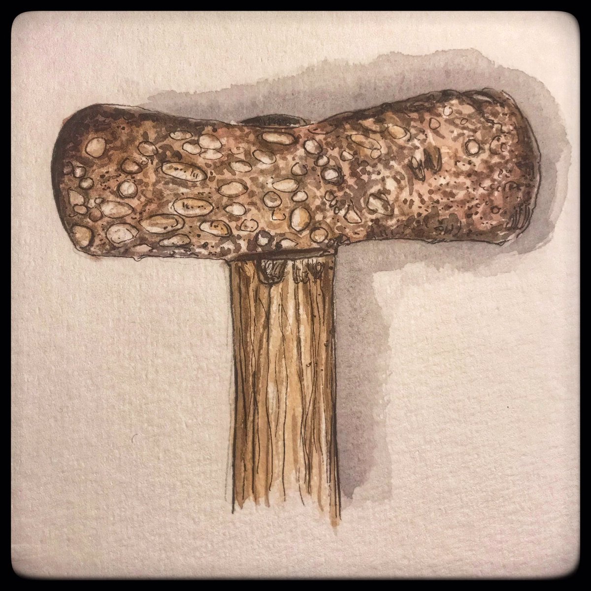 richardhosgood's tweet photo. Preloaded ! Apologies! That sensational Bronze Age axe head of limestone with coral from an oak coffin at Tetney seen with the excellent @Hugh_Willmott on #DiggingForBritain tonight. #d4bdrawing #Archaeology https://t.co/dKOFrnSLWD