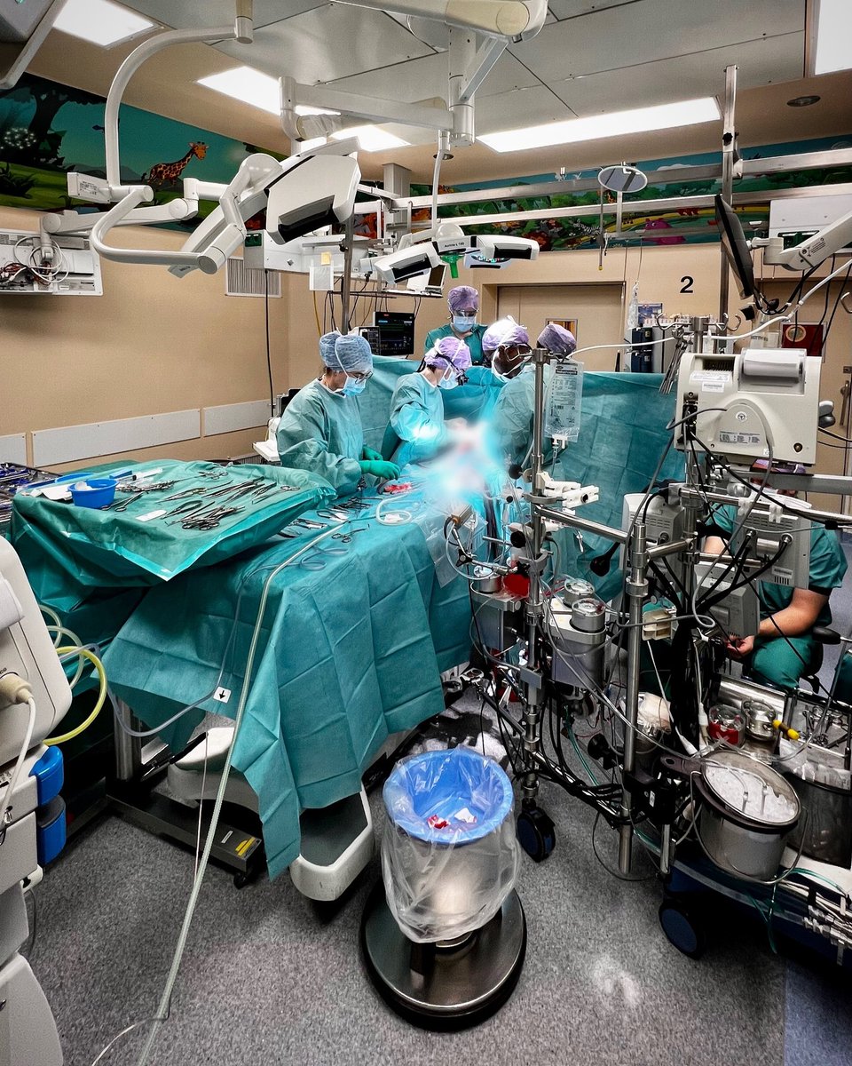 | Monique de Raad | tweet media