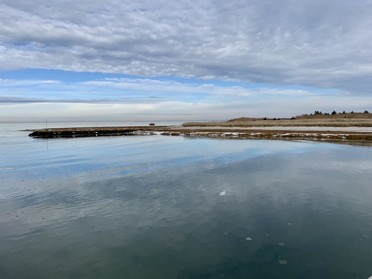 Barbara Eppich Struna: Reflections in a New Year barbarastruna.blogspot.com/2022/01/reflec…  #WritingCommunity #amwriting #CapeCod #SinCNE #HistoricalFiction