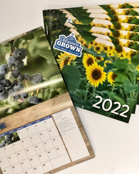 AgricultureDE's tweet photo. Stop by our office and grab our free 2022 Delaware Grown calendar before it's gone.

We are located at 2320 S. DuPont Hwy. Dover DE 19901, available to you M-F 8 to 4:30.

#delawaregrown #calendar2022 https://t.co/h3vygf36sB