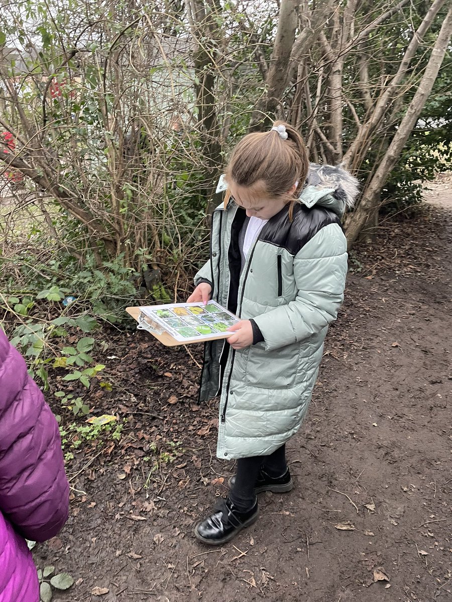 Survived my first day of teaching outdoor learning yesterday! Definitely out of my comfort zone but think it’s definitely going to develop my own practice! Was lovely getting to teach a range of stages again too! @AlvaPSandELC #outdoorlearning