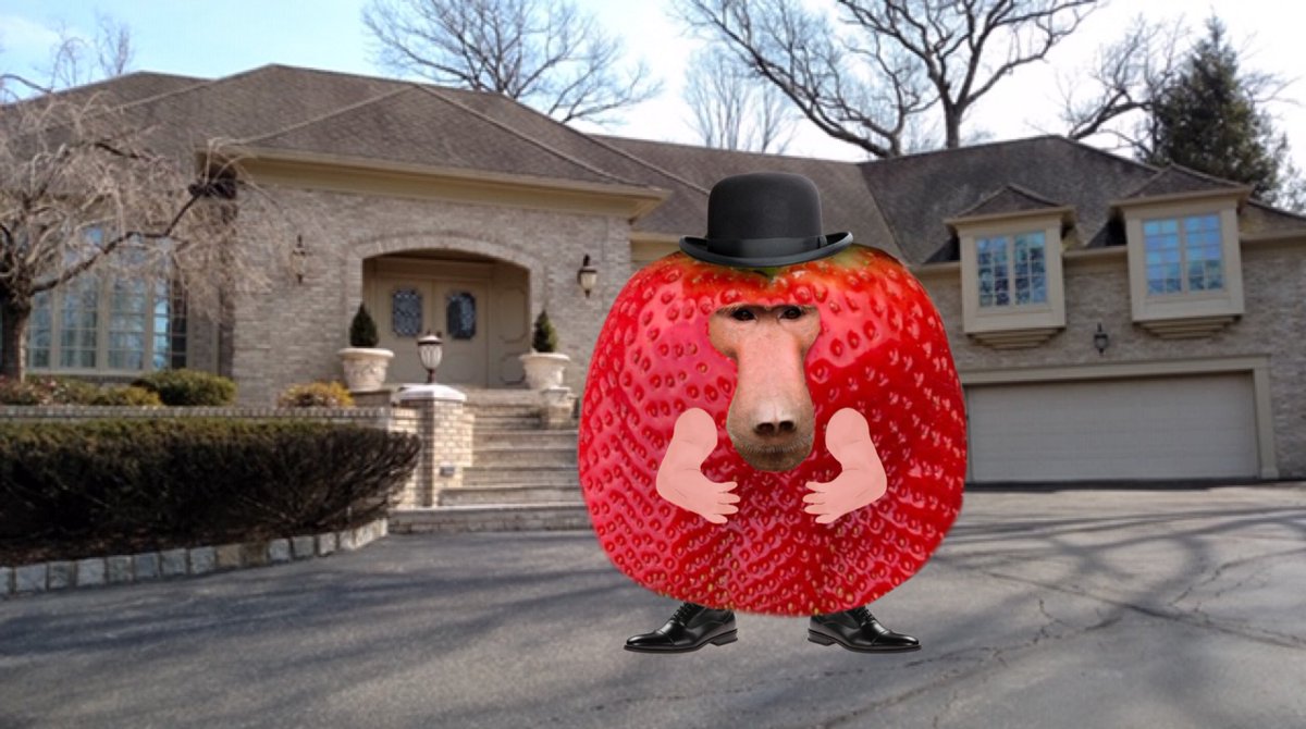 BaboonBerry's tweet photo. ooga, year 2040… i’m a freakin mob boss, bayby… gabagool https://t.co/M4vjRylIh1