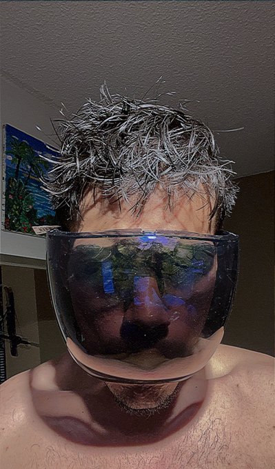 Galactix 👩&zwj;🚀🛸 https://t.co/wX069rQx9e