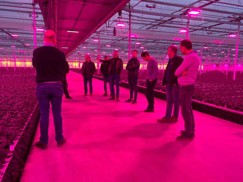 Discussie onder #fullLED op het nieuwe bedrijf van #UGrand over de teeltstrategie #PinaColada met <a href="/DummenOrangeEU/">Dümmen Orange, EU</a> <a href="/zentoo_nl/">Zentoo</a>  <a href="/Retineflowers/">Retine-flowers</a> <a href="/Lewis_Flowers/">Yorick Leeuwis</a> <a href="/FredvanPaassen/">Fred van Paassen</a> <a href="/FlowersSamada/">Samada Flowers</a> <a href="/BuijsFlowers1/">Buijs Flowers 1</a> 
Later die ochtend discussie over drogestofanalyses met <a href="/Eurofins_AgroNL/">Eurofins Agro NL</a>