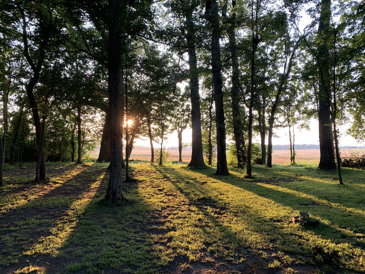 JP Champion tweet media