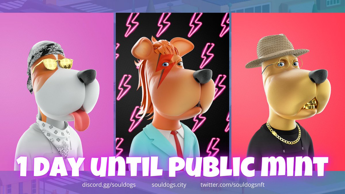 SoulDogsCity's tweet photo. Who's excited for the public mint!? 👀

The #SolanaDogShow has been absolutely Dynomite! 🧨 We can't wait to see the rest of the collection tomorrow! 

Public Sale:
🗓 January 14
🕓16:00 UTC

Stay up to date on Discord: https://t.co/ENO63x2YMW

RUFF RUFF 🐶 WAGMI https://t.co/qiAiuuVywM