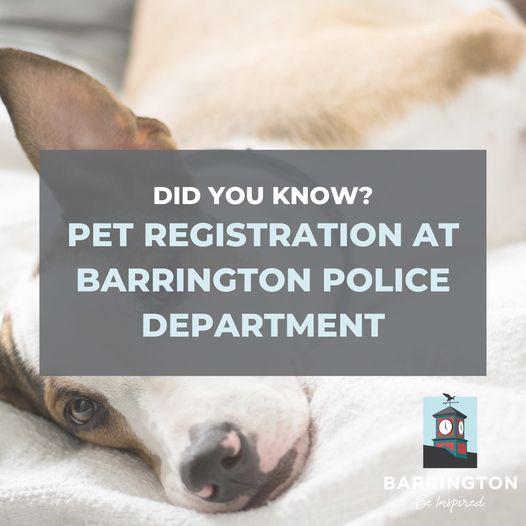 Did You Know?! 🐶 Pet Registration is Available at Barrington Police Department 
Provide Barrington Police Department with details of your pet – your pet information will be available to the police department in case of a lost or stolen pet. 
frontlinepss.com/barrington