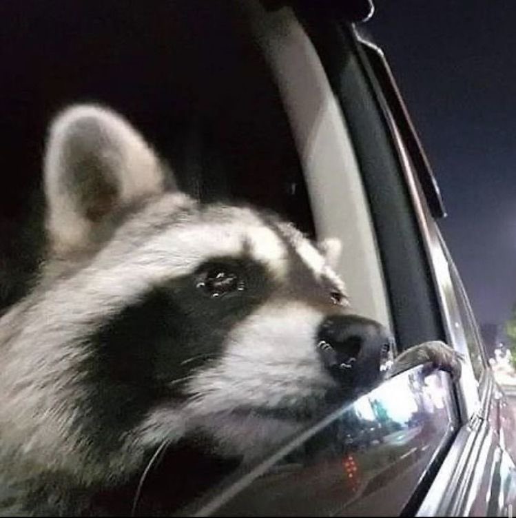 reactionalbum's tweet image. #reactionpic