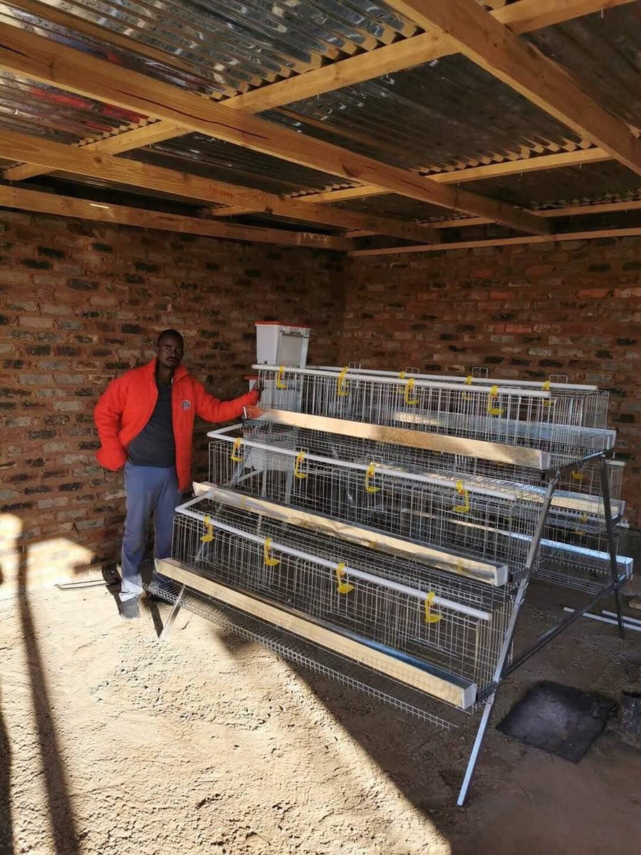 microarray_tlou's tweet image. Layers Chicken Cages: 96 and 128 capacity now available.

Delivery R5 per Km, free installation.
Feel free to contact us for quotes:
Email:  info@matlaxpoultry.co.za 
App:076 368 4894