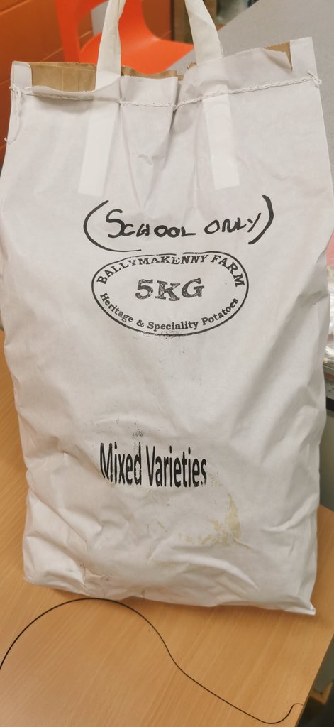 MarieRuane6's tweet photo. Big thank you to @BallymakennyF for donating their delicious range of potato for my 6th year Ag science students. We got to test the DM of the Mayan Gold, Pink Firapple, Golden wonder, Red Emily and Dunbar ๐ฅ๐ฅ @BallymakennyC #spudshack #edchatie #lcagscience https://t.co/qCUOZW2PrZ