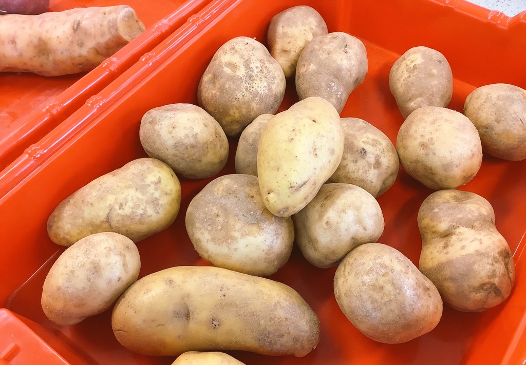 MarieRuane6's tweet photo. Big thank you to @BallymakennyF for donating their delicious range of potato for my 6th year Ag science students. We got to test the DM of the Mayan Gold, Pink Firapple, Golden wonder, Red Emily and Dunbar ๐ฅ๐ฅ @BallymakennyC #spudshack #edchatie #lcagscience https://t.co/qCUOZW2PrZ