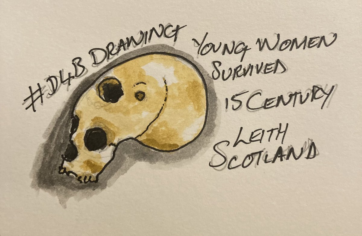 alsodanartisan's tweet photo. The young women’s skull from Scotland with colour. #d4bdrawing
#DiggingforBritain
@GUARD_Archaeol https://t.co/9ZFIBbbVjK