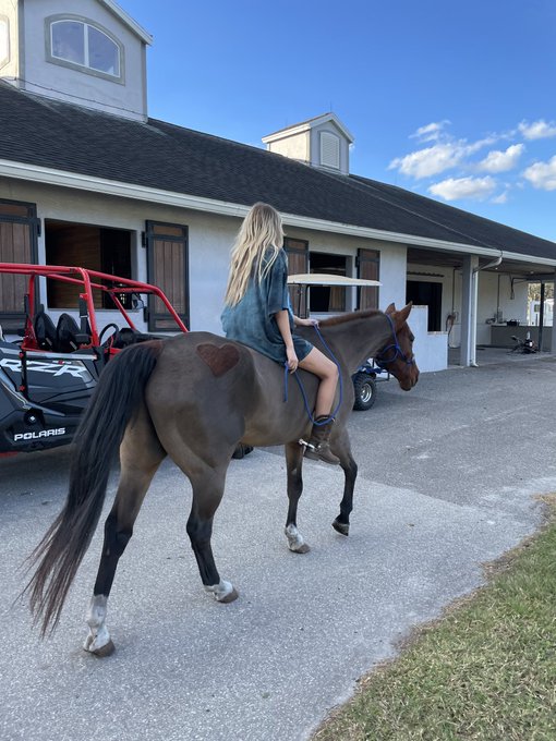 horse girl 🐴 🤍 https://t.co/zUSNWzVNZv