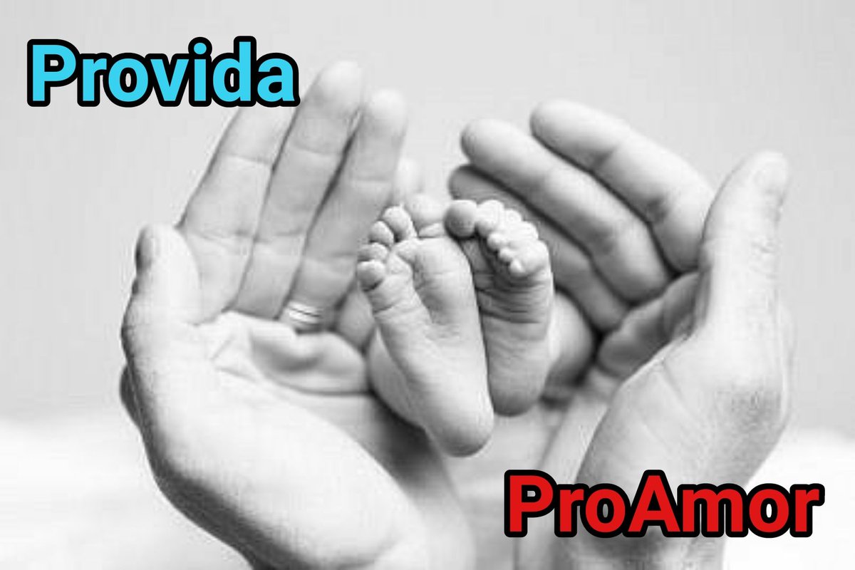 Izack4X4's tweet photo. @MamelaFialloFlo #ProVida #proAmor https://t.co/FAuDkFV3ja