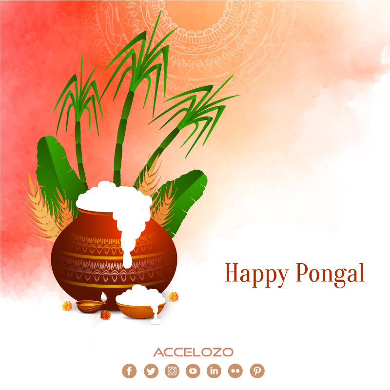 accelozo's tweet image. May this Pongal take away all your sorrows and lighten your life with warmth, joy and evergreen happiness. Happy Pongal! 
.
#happypongal🌾 #accelozo #pongal2022 #pongalcelebration  #pongalpaanai #pongal #festival #festivalofharvest #marketing #digitalmarketing #srilanka #lka  🇱🇰