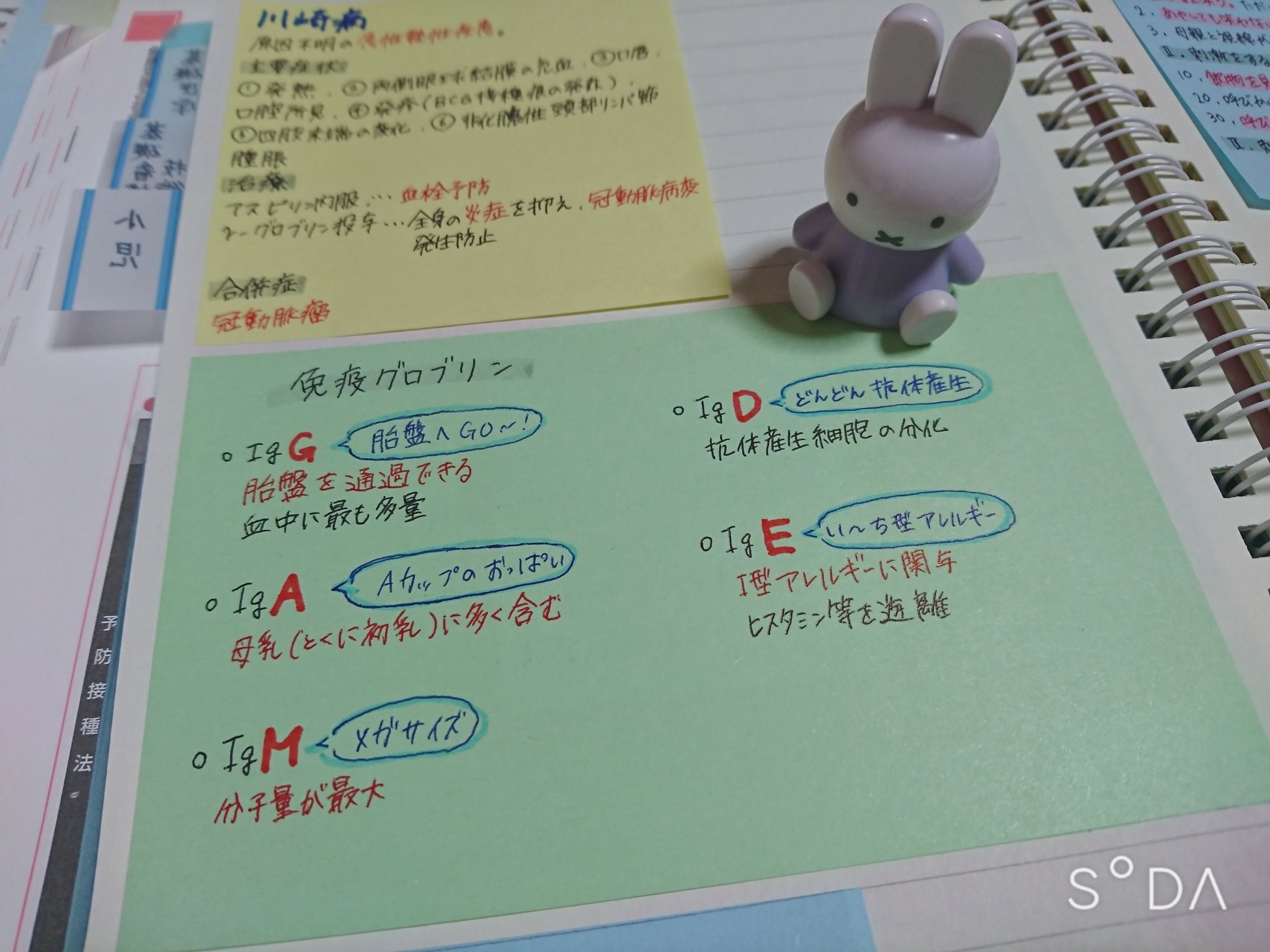 五月雨 111回国家試験受験 免疫グロブリンはこれで覚えた 看護学生 免疫グロブリン 看護師国家試験 勉強垢 付箋ノート T Co Ey3k6k0lod Twitter
