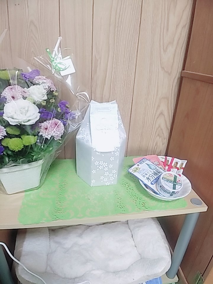 kiyorin4neko's tweet photo. おはようございます。
今度は人間に生まれて来ます様に…
道に迷ったら母しゃんの所へ戻っておいで…
ありがとう…
の言葉を添えてあとむを天国に送って来ました。

あとむをもう一度抱きしめたい

ぼく小さくなって帰って来たけどみんにゃの健康とご多幸祈ってるにゃ～ありがとう～by あとむ
 #合掌 https://t.co/cKezPyi7M8