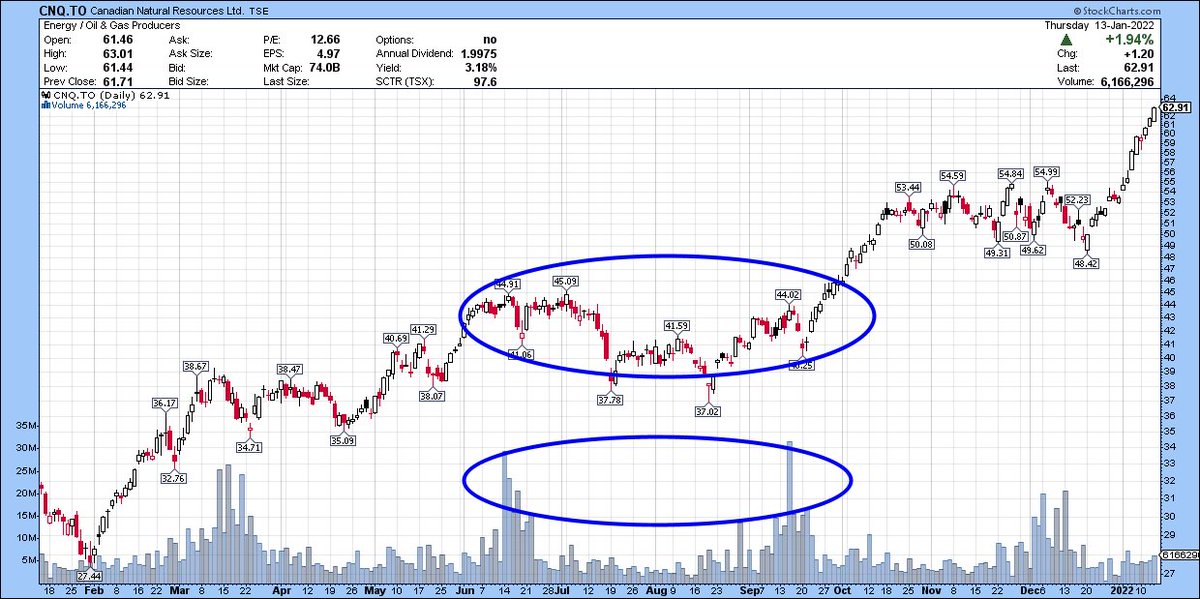 Allen maxime tweet media