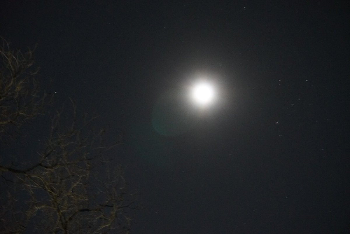 coffeeandshrimp's tweet photo. Took this photo of the Moon, tonight. I might turn into a werewolf if I stare at this long enough.🐺 🌝 #LookingAtTheMoon #BarkAtTheMoon #MoonPhotography #NighttimePhotography #MoonLove #MoonLover #MoonLovers #Moonlight #MoonChild #WerewolfMoon #TheMoon #ILoveTheMoon #Moon https://t.co/zY4Zeg84oG