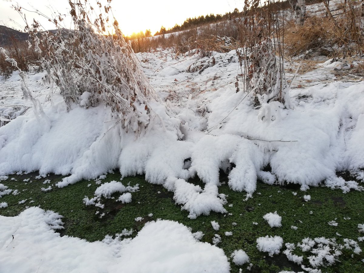 Өглөөний мэнд