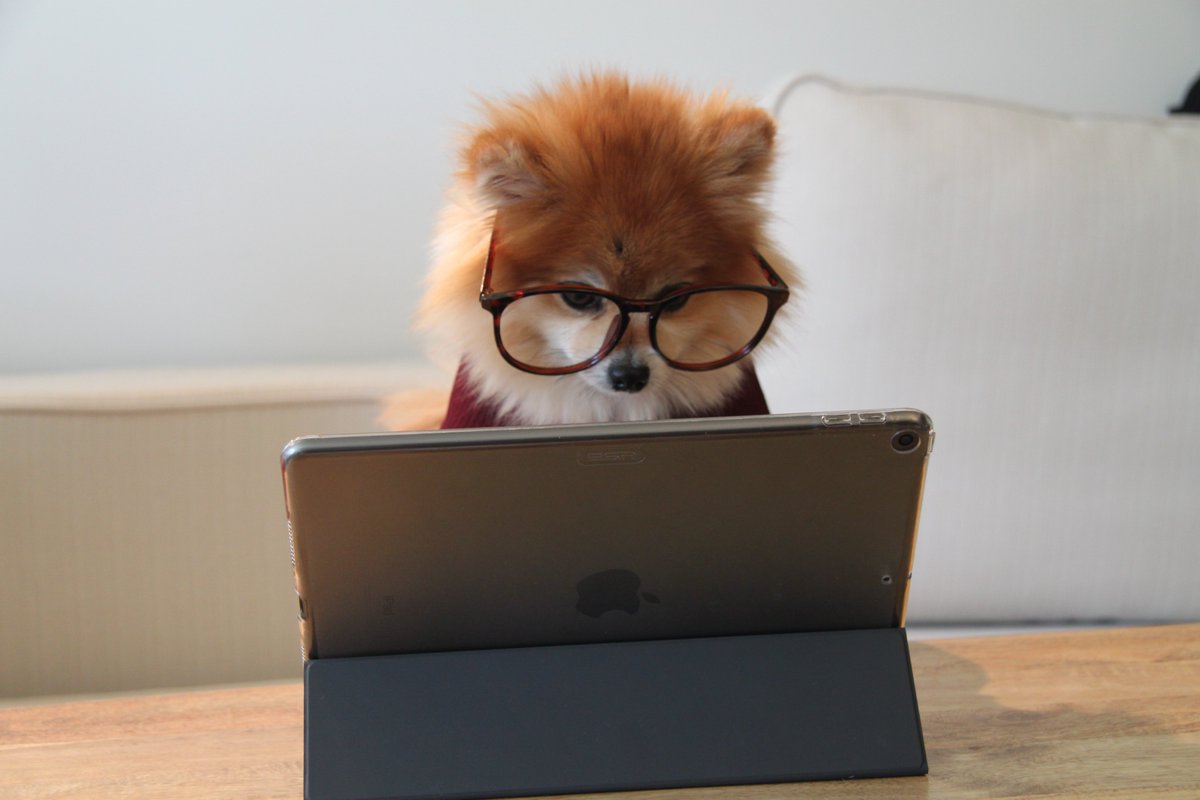 2leaf's tweet photo. Today is Safer Internet Day!! 🤓 Here's tips to start your Safer Internet Day:
- Utilize two-factor authentication 
- Make strong passwords 
- Report suspicious actions 
- Don't open links from people you don't know
- Don't post personal information
#SaferInternetDay 🖥️ https://t.co/WuT3HUNlZ2