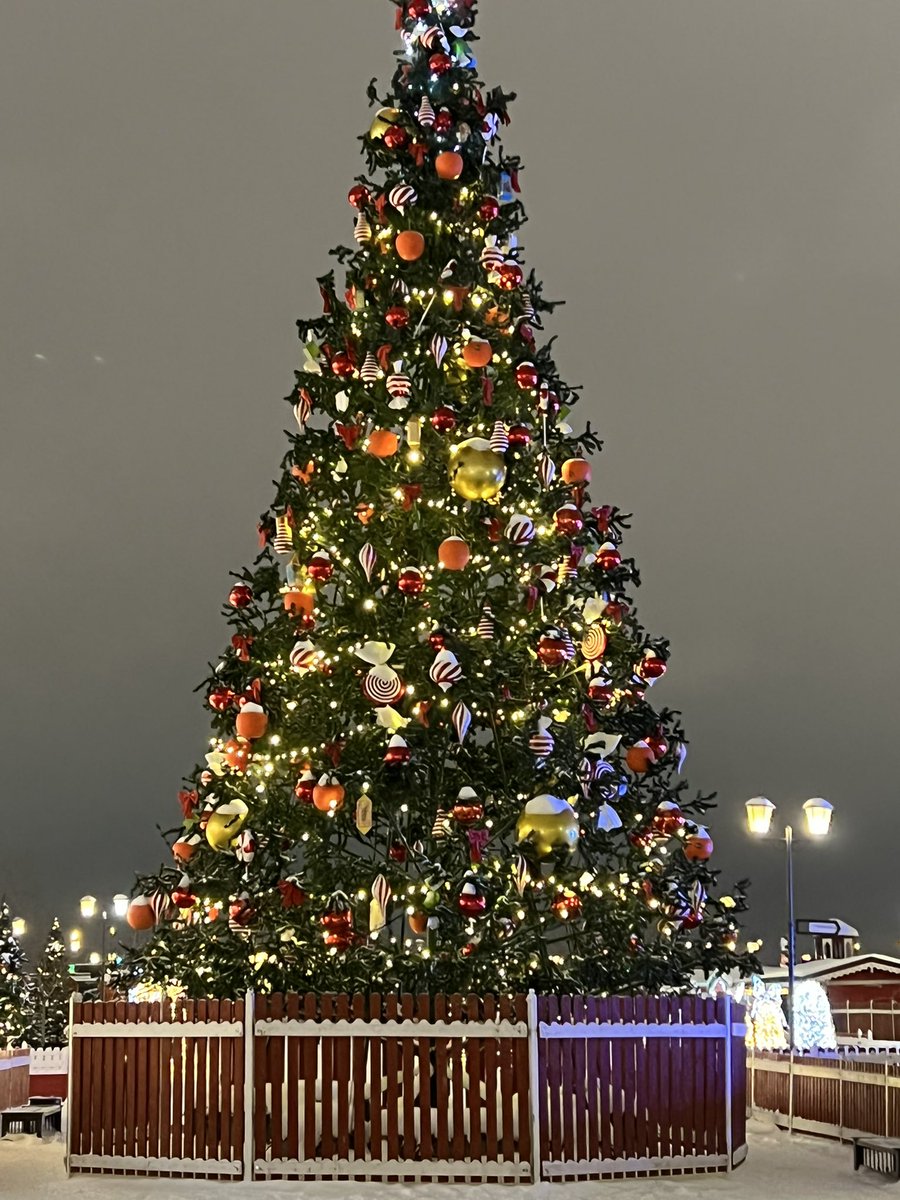 LuizaPlotnikova's tweet photo. С праздником ! 🎄 #старыйн��выйгод #казань #HappyNewYear2022 https://t.co/oe6FHEgh5s