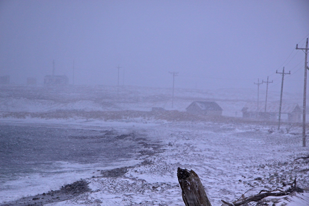 Another weekend of wintery bliss is on the way; strong winds, big seas, and some precipitation. Its the perfect time to get away with a good book and enjoy watching elements

#VisitGrosMorne #ExploreNL #ExploreCanada
📌The Town of Cow Head
📷Steve Wheeler