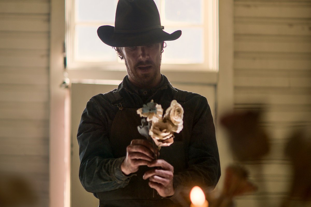 A pet song fun english. Бен пес. Джек рассел терьер на прогулке. Джек-рассел-терьер. Фотография собаки бена.