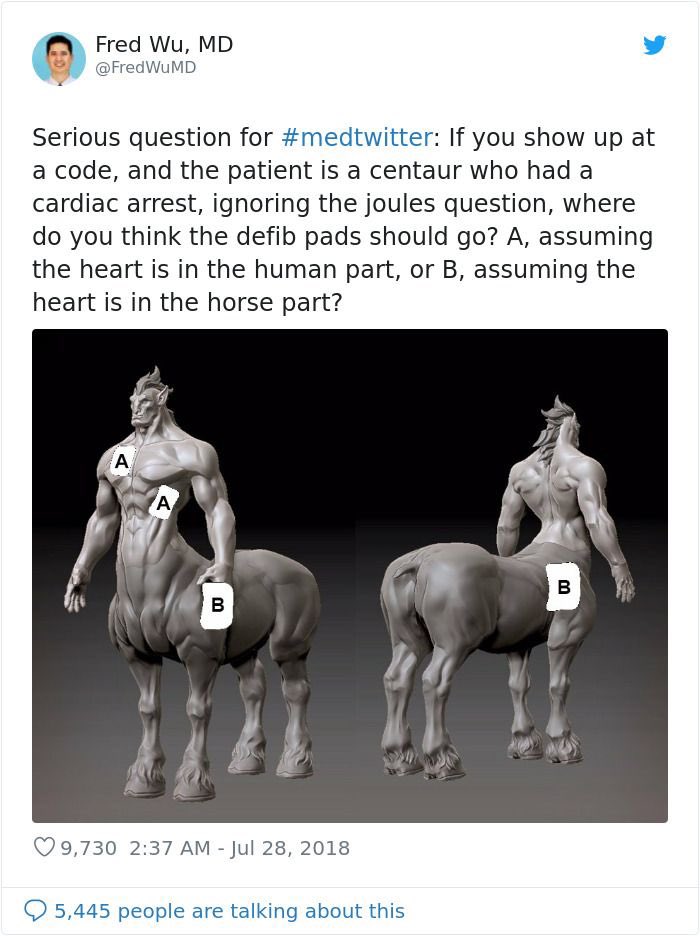 BexKenny's tweet image. Every time I see this it makes me so happy

boredpanda.com/centaur-cardia… 

#veterinaryhumour #vetmed