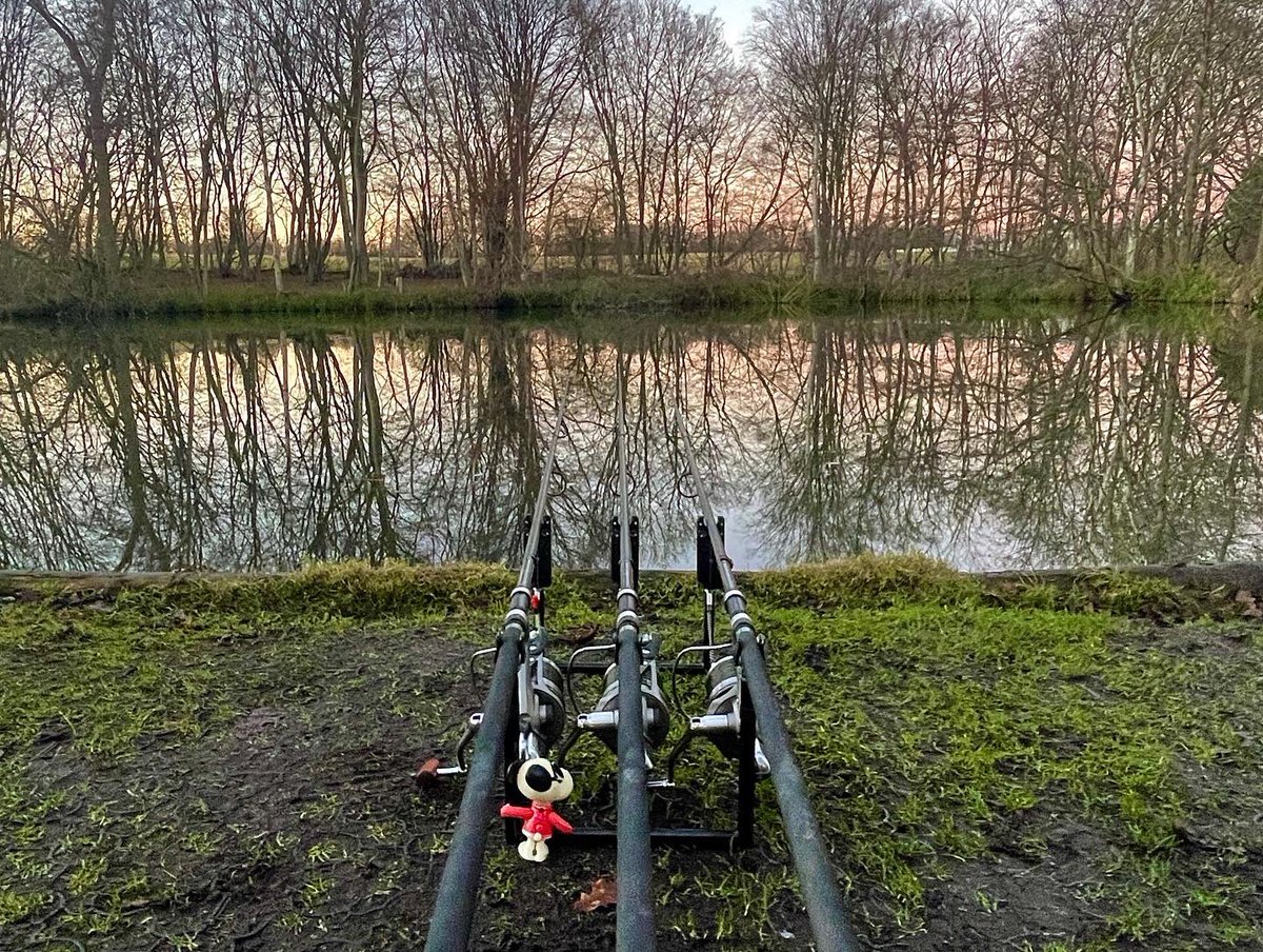 Well they made me wait all day but it was worth it. Finally nabbed one on one of my home <a href="/MainlineBaits/">Mainline Baits Official</a> Cell pop ups at last light. <a href="/ChurchwoodFish/">Churchwood Fisheries</a> #mainlinebaits #KO