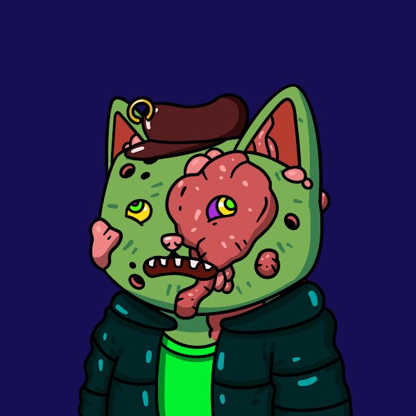 jackyxbt's tweet photo. This guy found a new home today :) thanks for the giveaway! 🥳🎉 @mutantcats https://t.co/9WgmoLBZsB