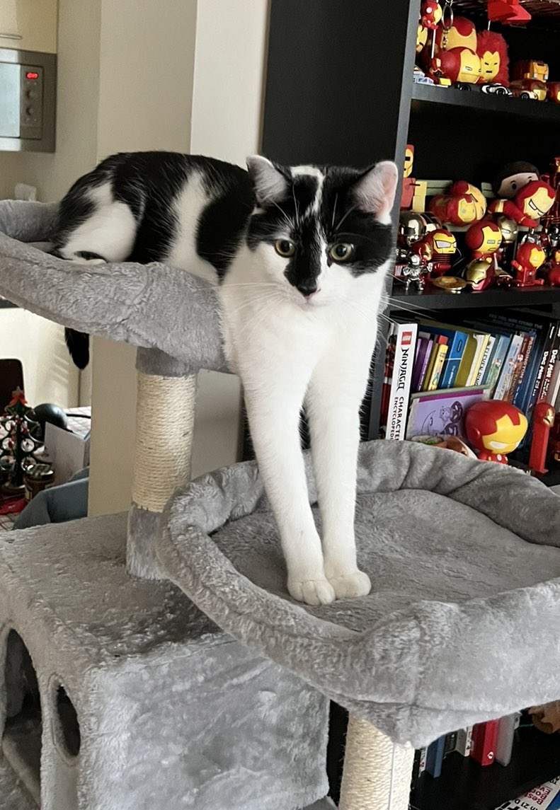 oselbam's tweet photo. @KevinScampi Hey Scampi, I’ve saved you a space here! https://t.co/ms1aejpBXJ
