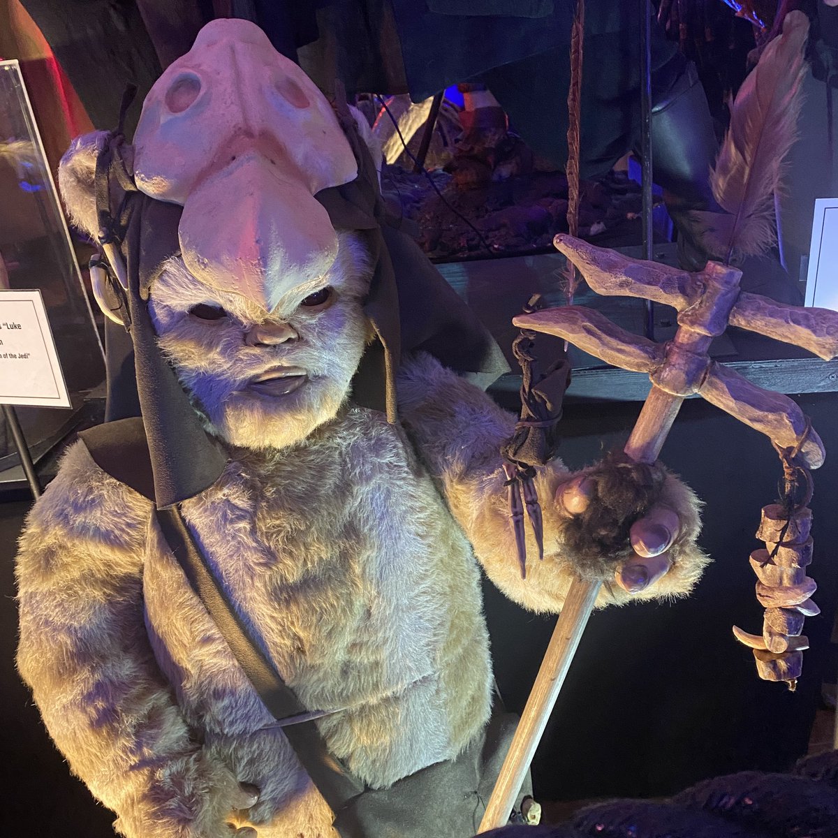 iconsofdarkness's tweet photo. A very happy birthday indeed to actor Mike Edmonds, who played Logray the Medicine Man in “Return of the Jedi”’We love having our furry Ewok buddy everyday here at the exhibit. 
#ReturnOfTheJedi #Ewok #MikeEdmonds #IconsOfDarkness https://t.co/lKY8vqyjnc