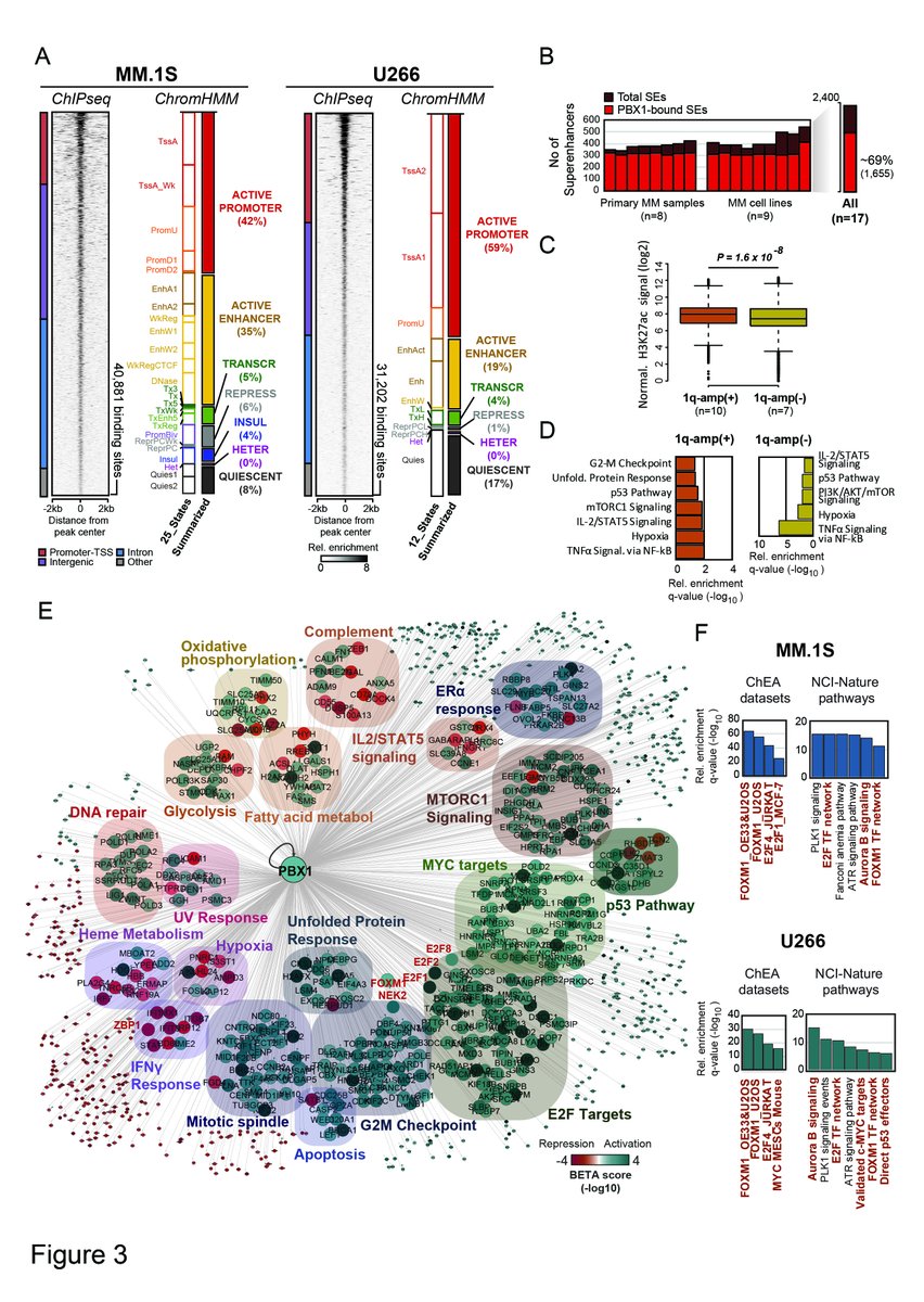 nikos_trasan's tweet photo. We profiled the PBX1 cistrome in chr1q-amp multiple myeloma cells and charted the epigenetic topology around PBX1 binding sites. We identified the PBX1 regulatory network using a combined cistrome-transcriptome analysis. #Figure3 https://t.co/hTiJbP8lsx